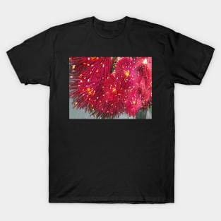 Burgandy Native Bush Flowers by Australian Artist Leah Gay T-Shirt